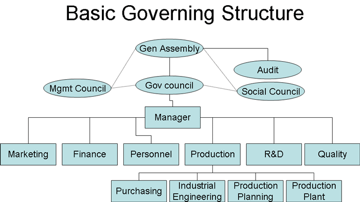 Mondragon Org Structure